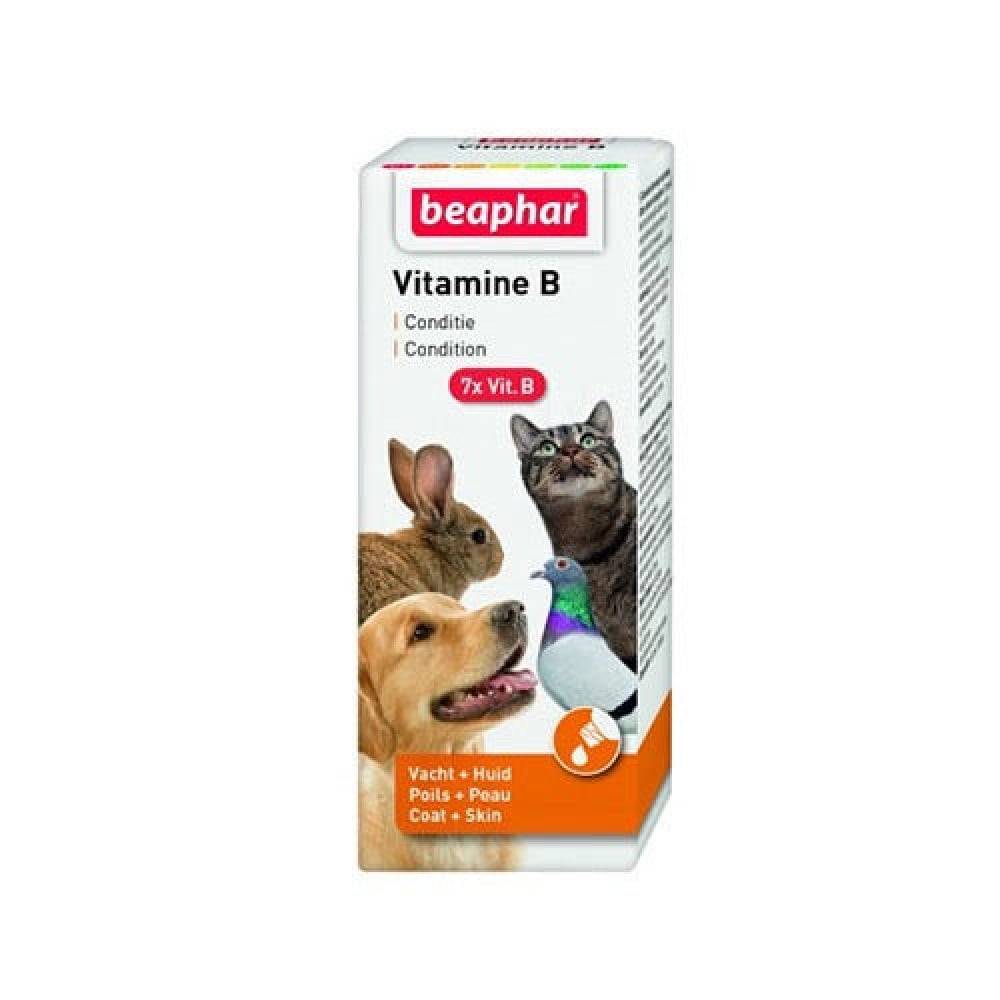 Pandora 2 liter hand sprayer for petting animals and birds and sterilizing floors
