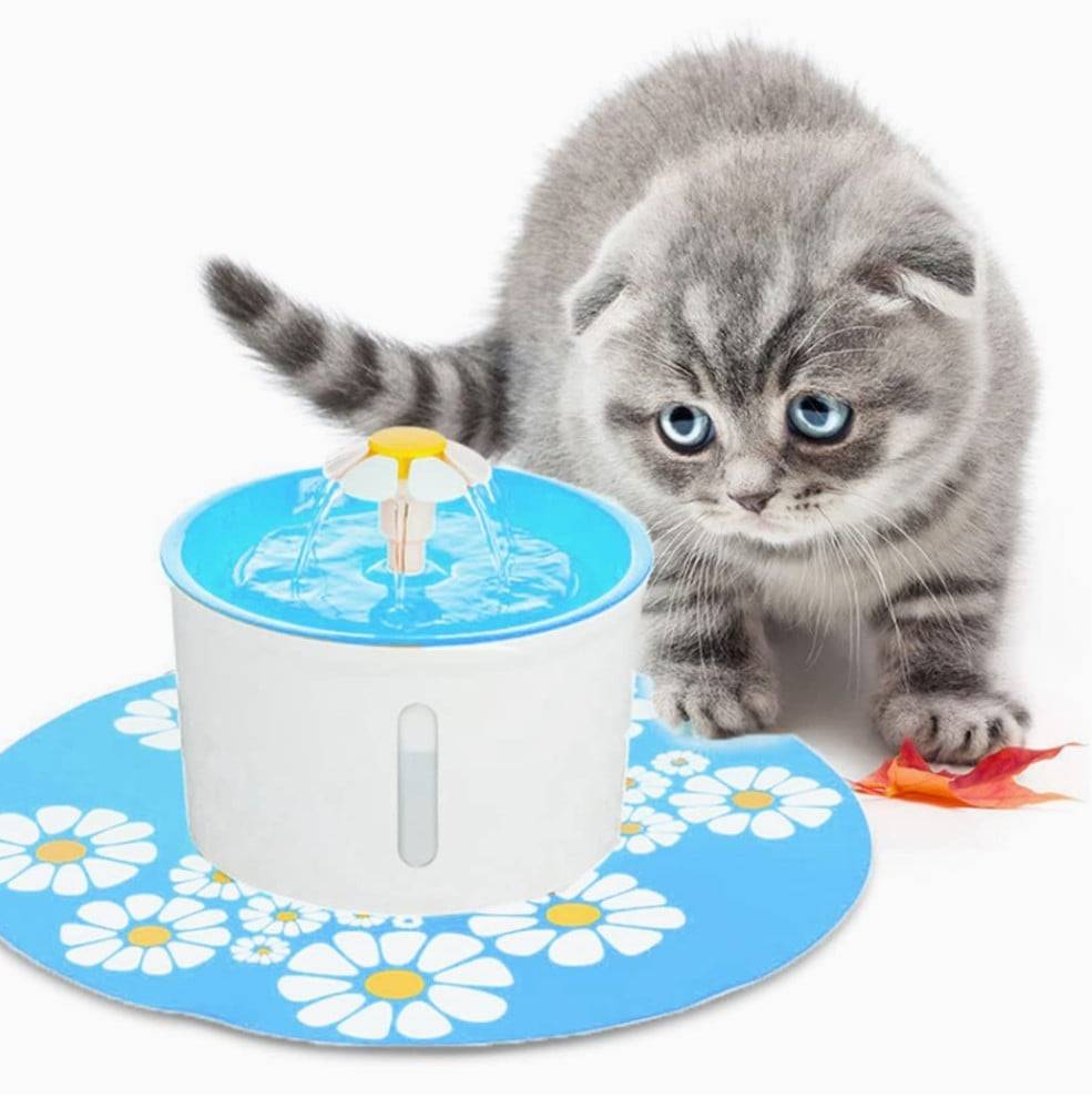 نافورة كهربائية مع فلتر لترشيح المياه Pet water Fountain
