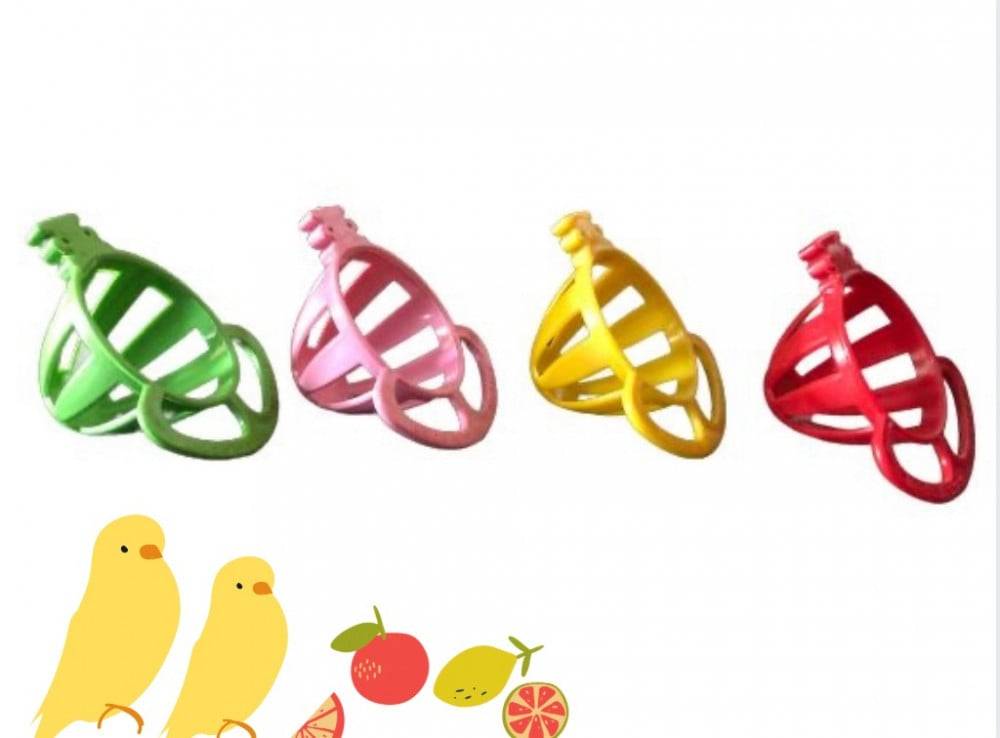 حامل طعام وفواكه للطيور الصغيرة والمتوسطة – Bird Food - Fruit Holder Clip