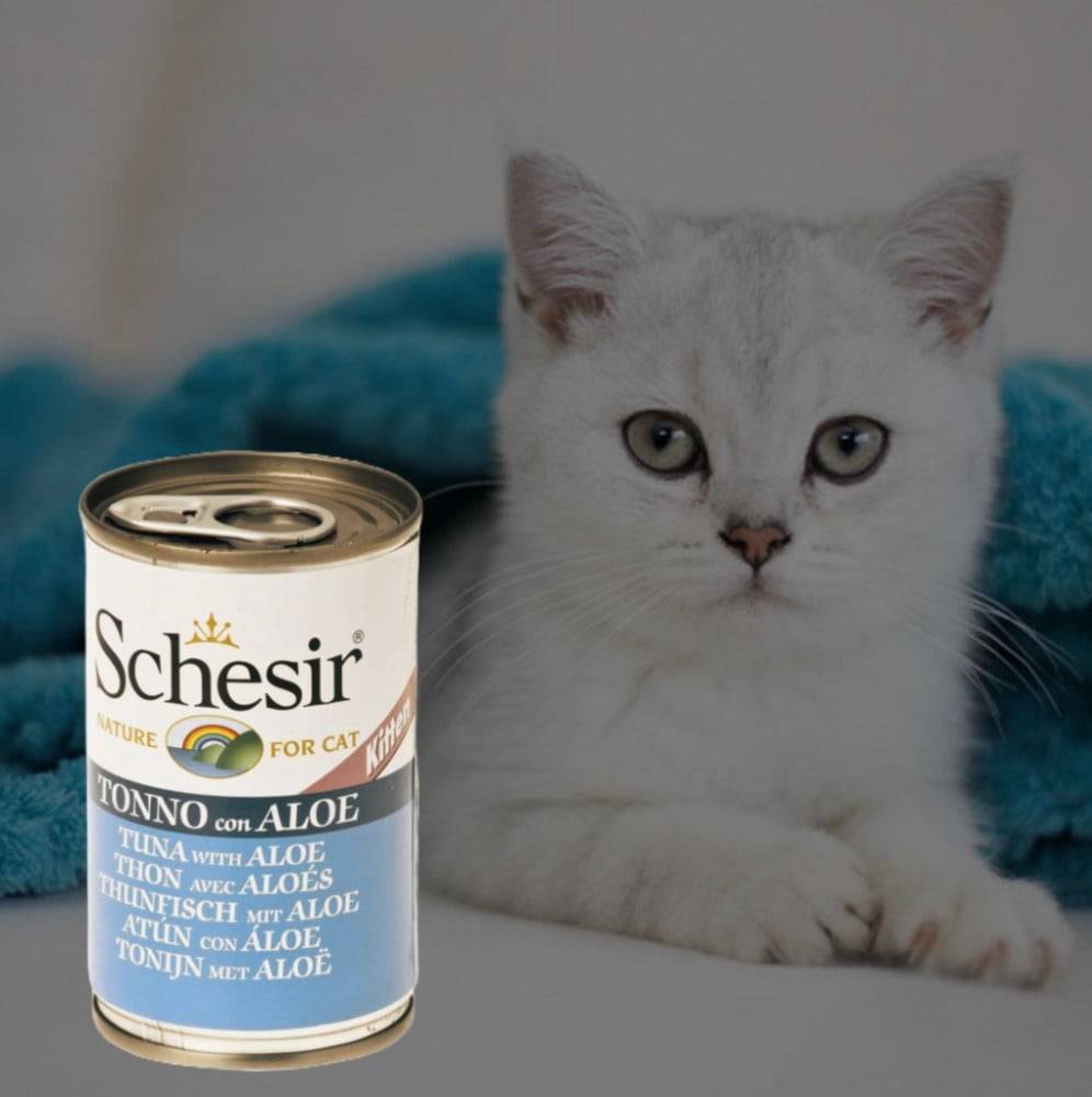 شيزر معلبات التونة بالجيلي (طعام رطب للقطط الصغيرة) 140غ Schesir Kitten Tuna with Aloe 140g
