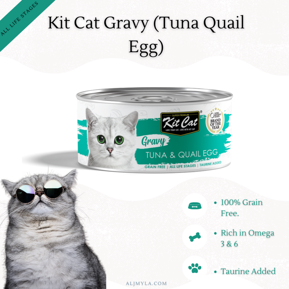 معلبات كت كات جرافي تونا مع بيض السمان بالمرق Kit Cat Gravy (Tuna Quail Egg) Canned food