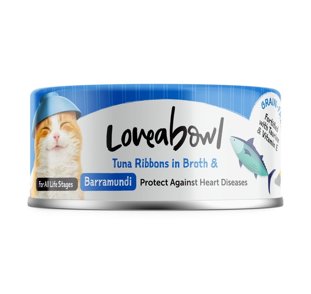 لاف اباول شرايح التونا في المرق مع سمك البرمون Loveabowl Tuna Ribbons in Broth BARRAMUNDI