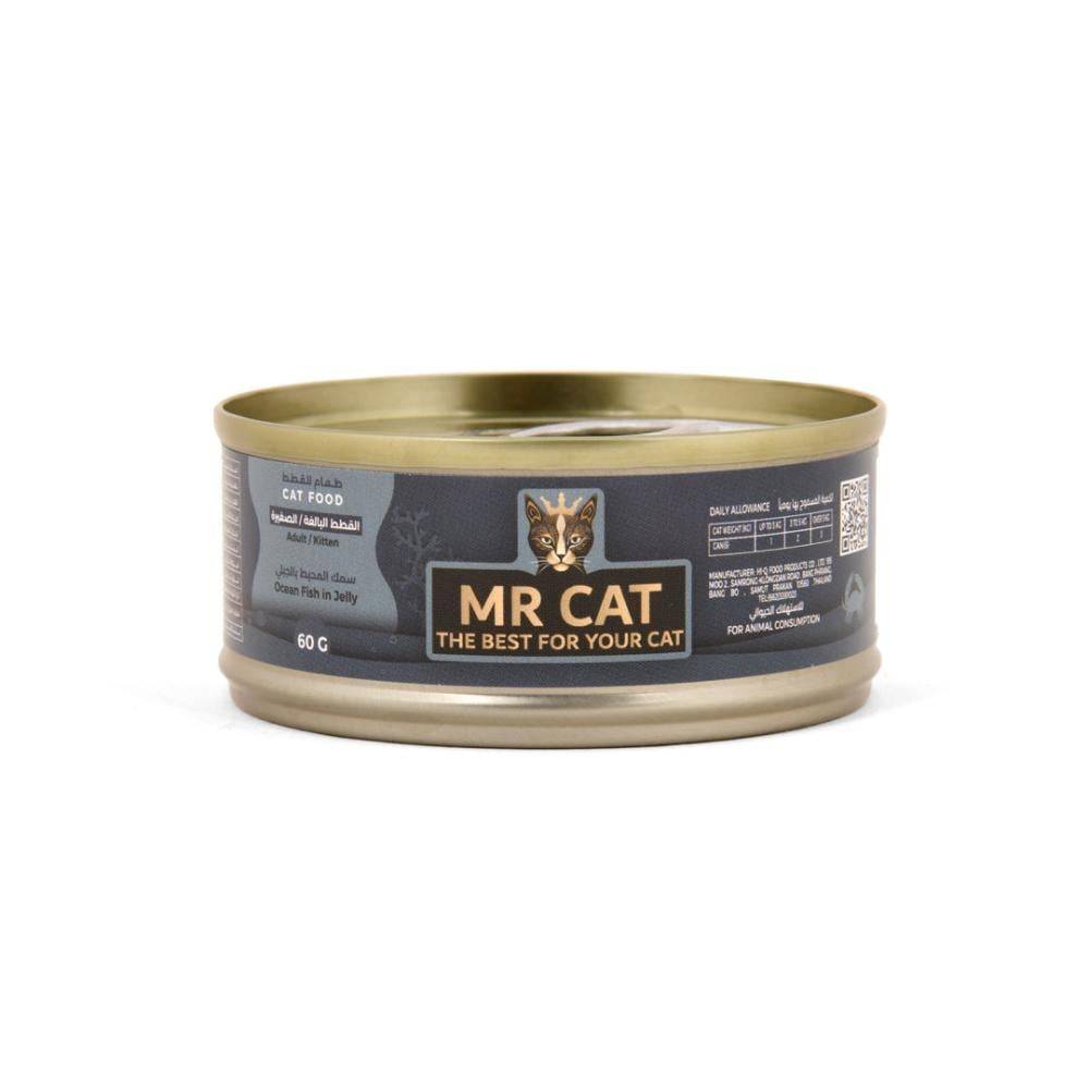 Mr Cat Ocean Fish In Jelly
