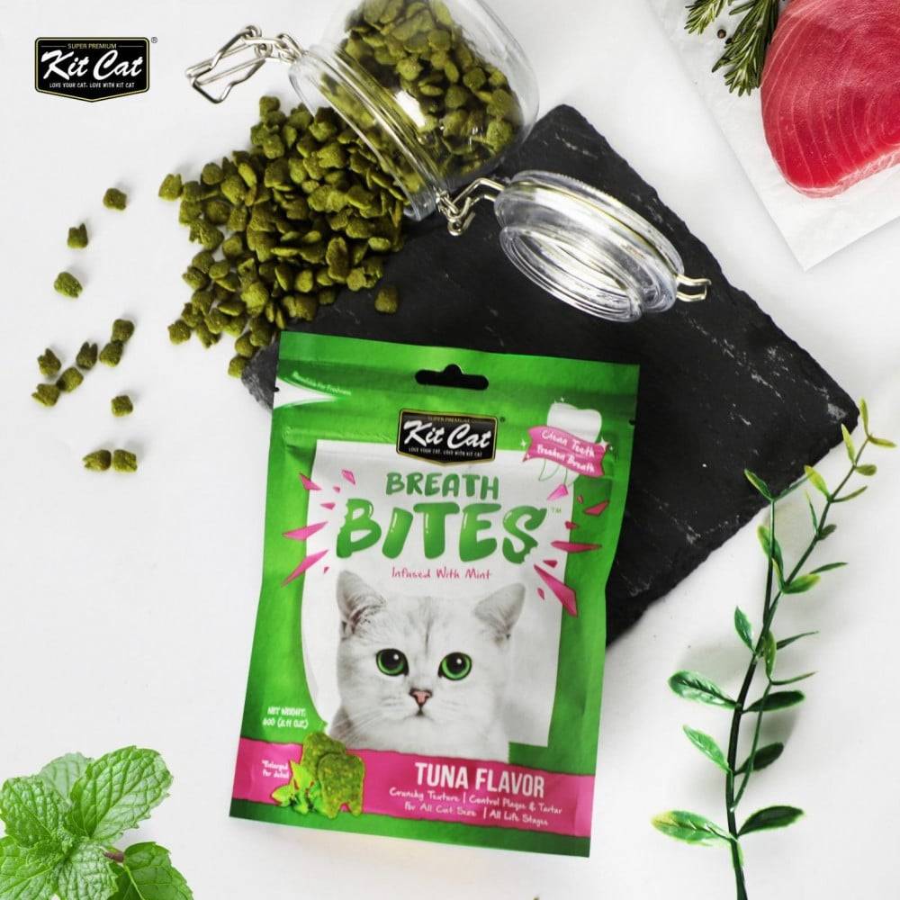كت كات بريث بايتس نكهة النعناع مكمل غذائي بالتونا 60 جرام Kit Cat Breath Bites Mint Tuna Flavor 60 g