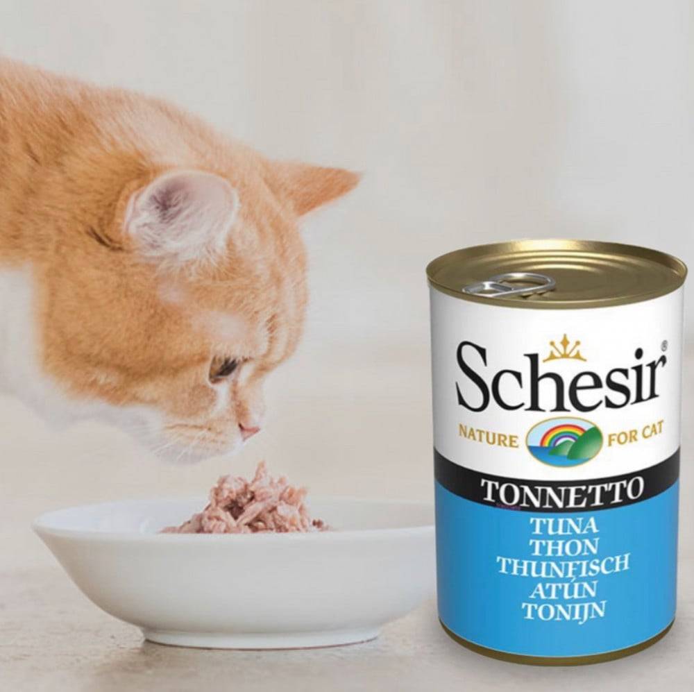 Schesir Fillet Tuna Natural Style 140G