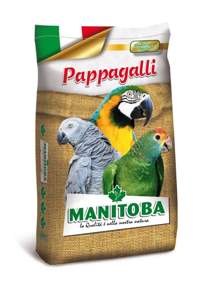 Manitoba Pappagalli