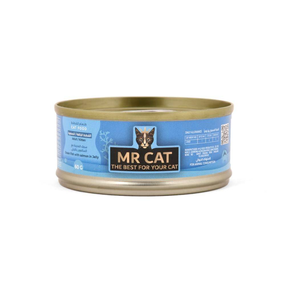 Mr Cat Ocean Fish With Salmon In Jelly