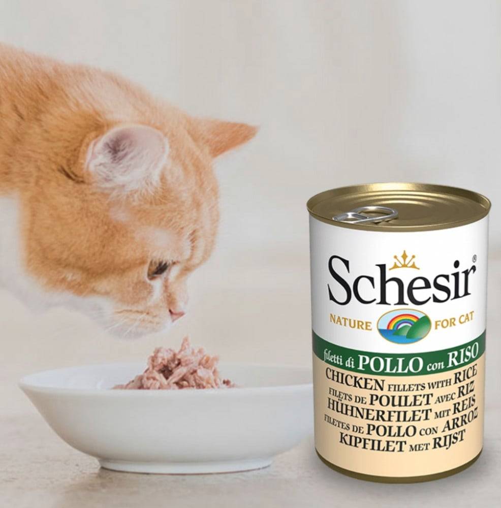 Schesir Fillet Chicken With Rice 140G