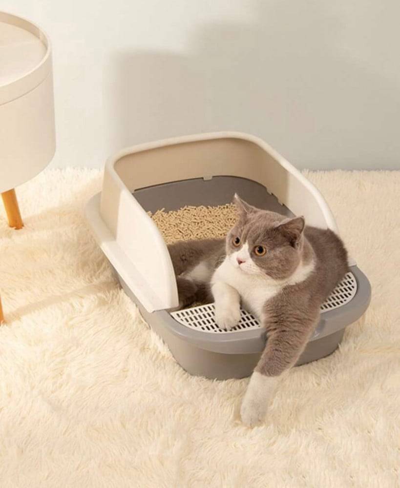 Modern liter box with shovel and filter to purify sand - medium size