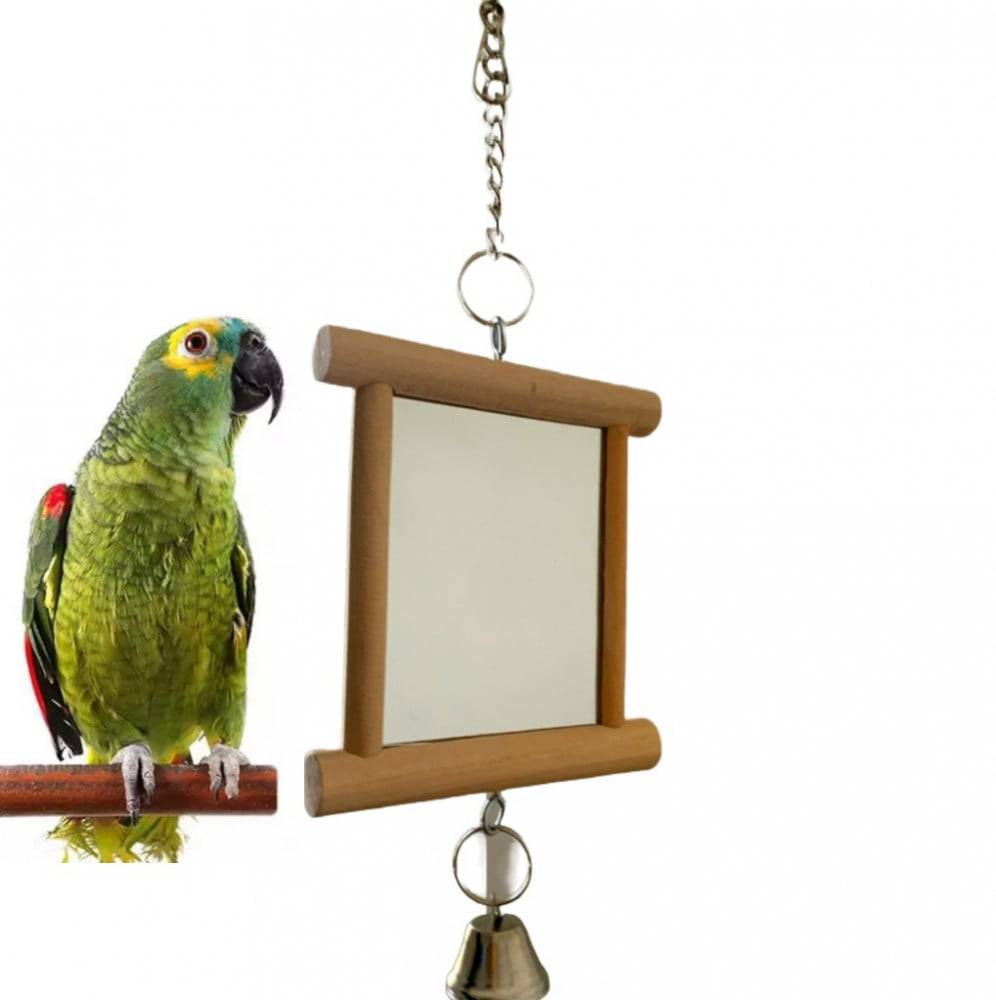 Wooden bird mirror - with bell pendant