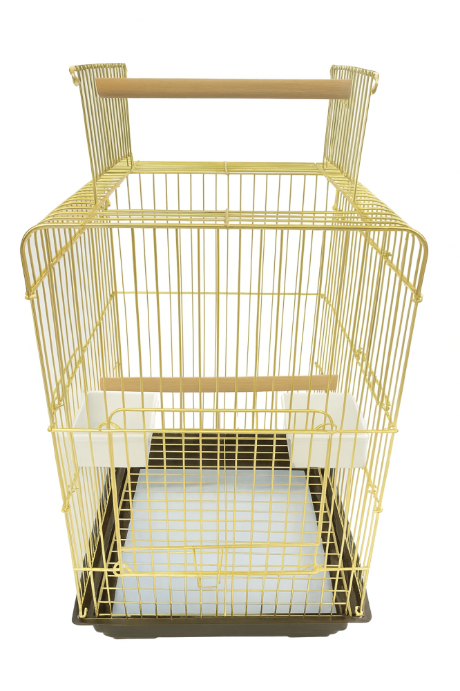 G04G parrot cage