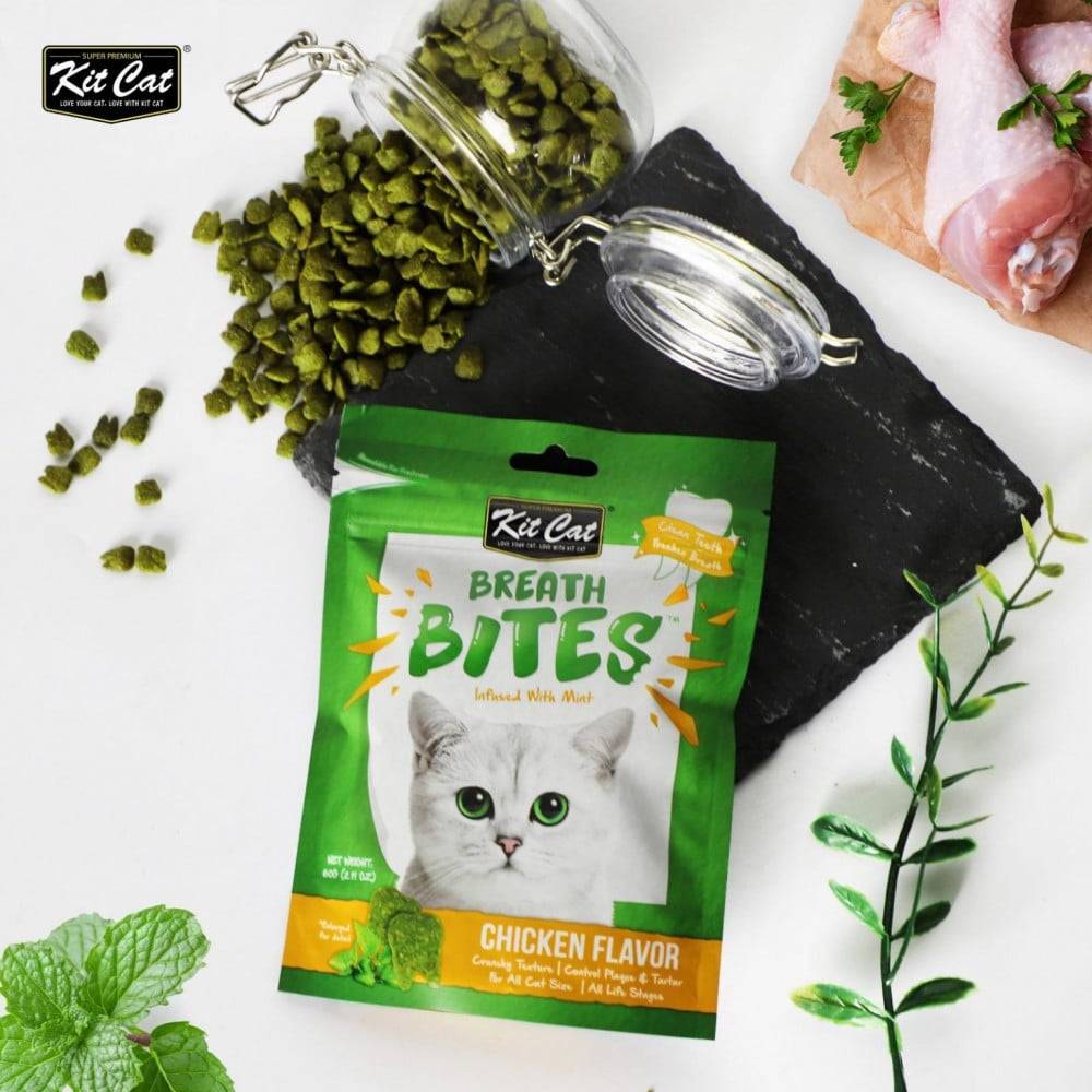 كت كات بريث بايتس نكهة النعناع مكمل غذائي بالدجاج 60 جرام Kit Cat Breath Bites Mint Chicken Flavor 60 g
