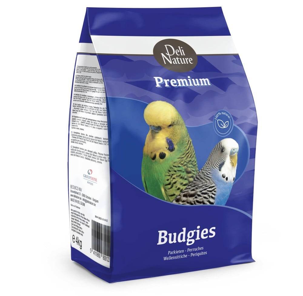 Delinature Premium Budgie