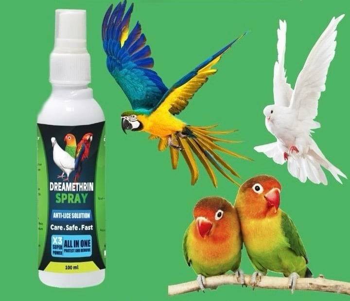 دريمثرين بخاخ تنظيف ريش الطيور والتخلص من الفاش وتطهير الاقفاص - 100مل Dreamethrin Spray Anti Lice Solution - 100 ml