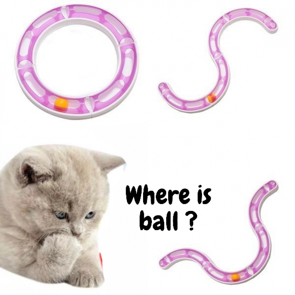 لعبة قطط - الصحن الدوار لتنمية مهارات القطط والحيوانات الاليفة Kitty Round Bout For Cats