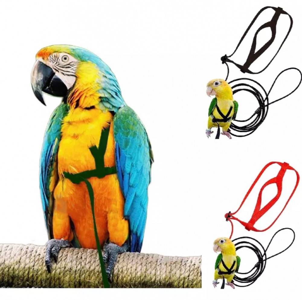 Parrot Harness Chain Harness Corset Parrot Harness Ornamental Bird Collar - Multiple Sizes