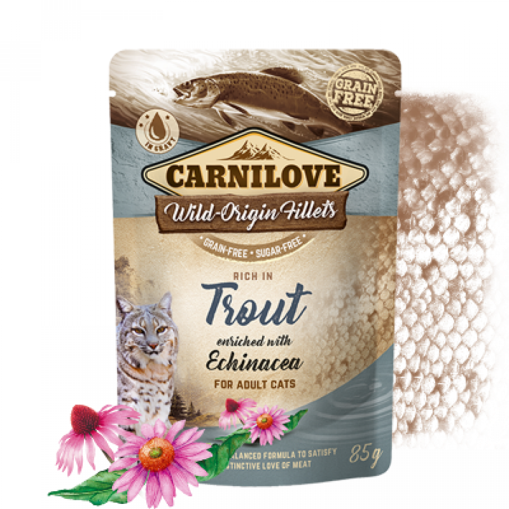 كارنيلوف اظرف رطبة سمك السالمون المرقط مع زهرة القنفذية Carnilove Rich in Trout enriched with Echinacea