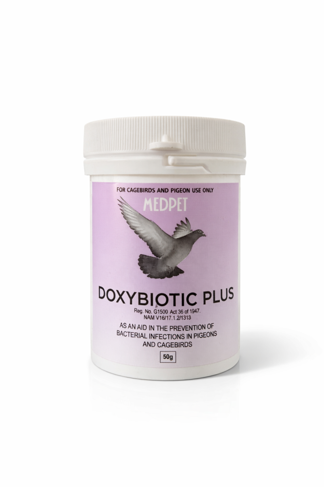 دوكسي بيوتيك بلس للالتهابات التنفسية والبكتيرية من شركة Medpet Doxybiotic Plus for Respiratory and Bacterial Infections by Medpet