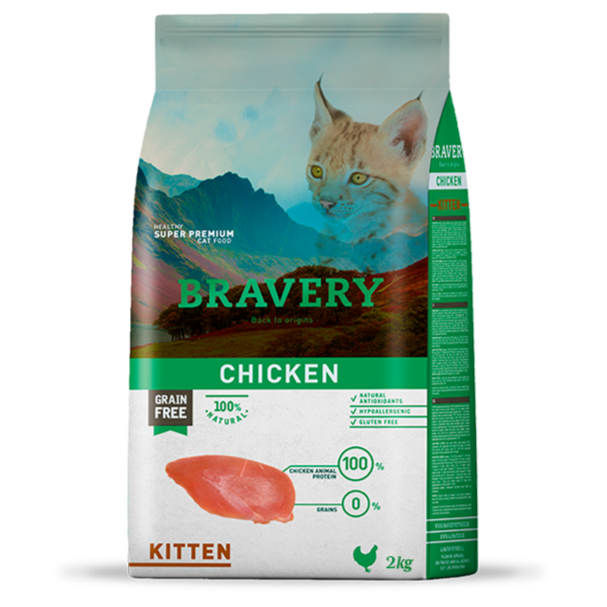 Bravery Chicken Kitten Cat