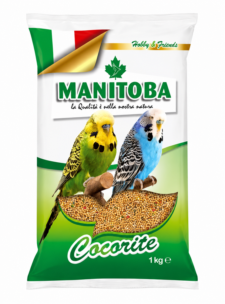 مانيتوبا اكل طيور الحب خليط مشكل للبادجي Manitoba Cocorite Biscuit