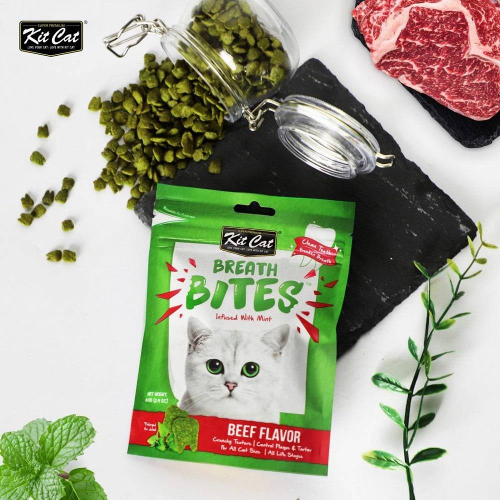 كت كات بريث بايتس نكهة النعناع مكمل غذائي باللحم البقري 60 جرام Kit Cat Breath Bites Mint Beef Flavor 60 g
