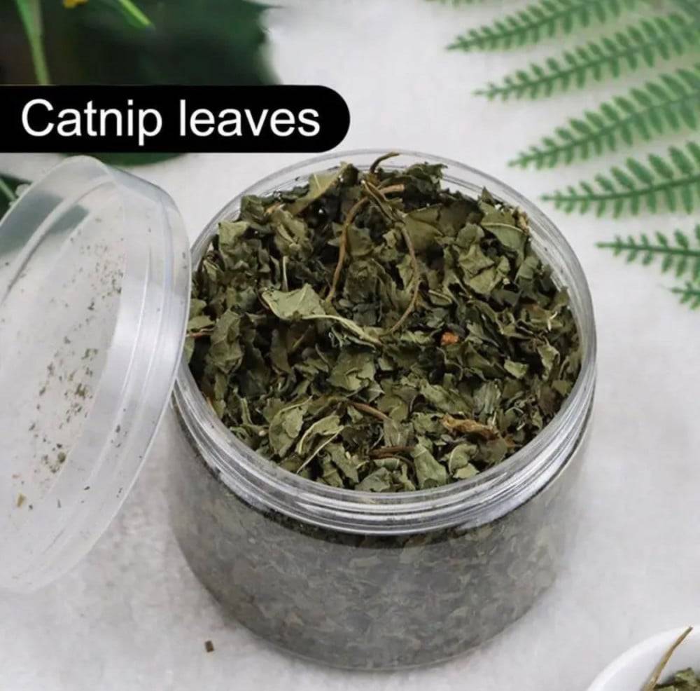 Catnip Catnip - 100 grams