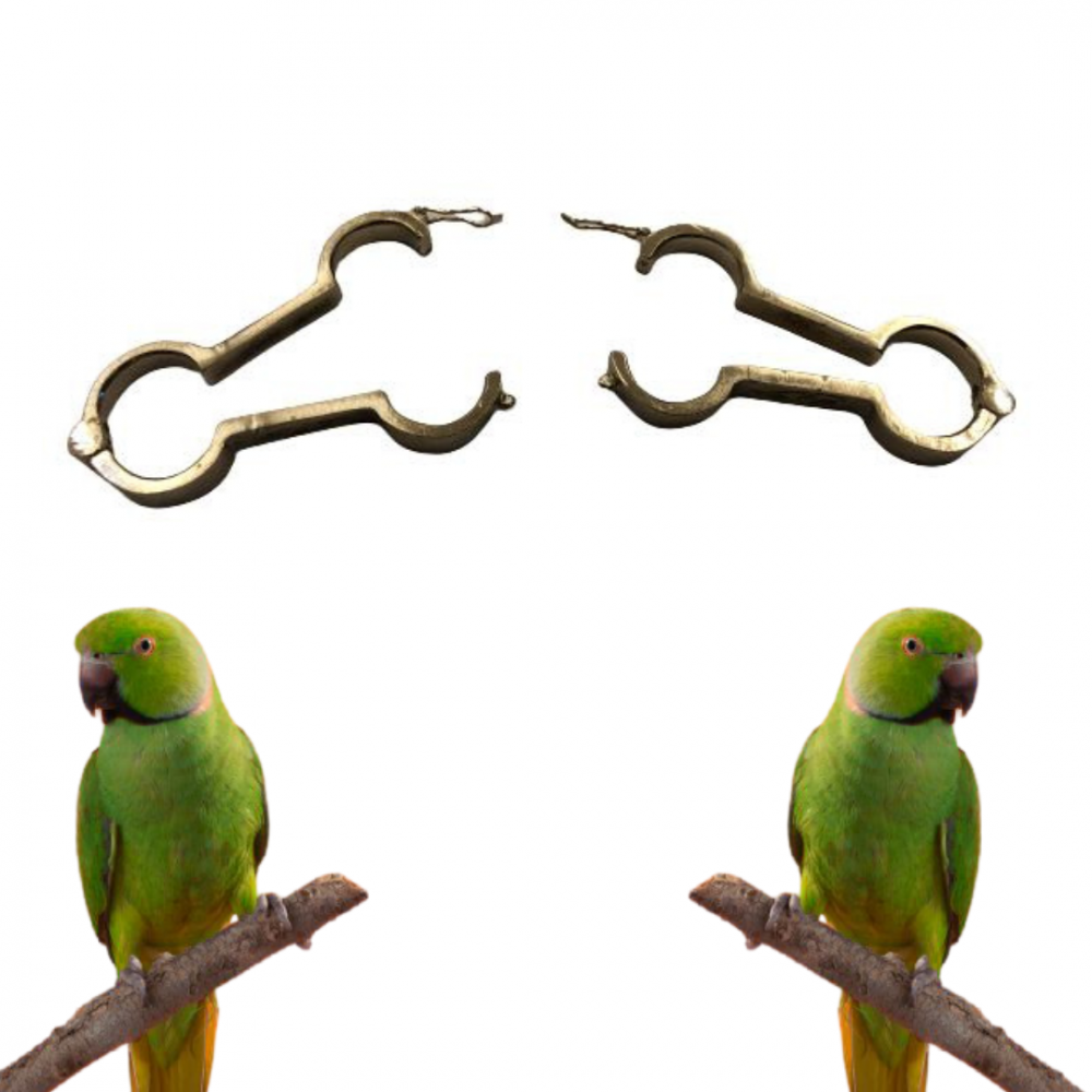 Treatment For Rickets Birds Size L
