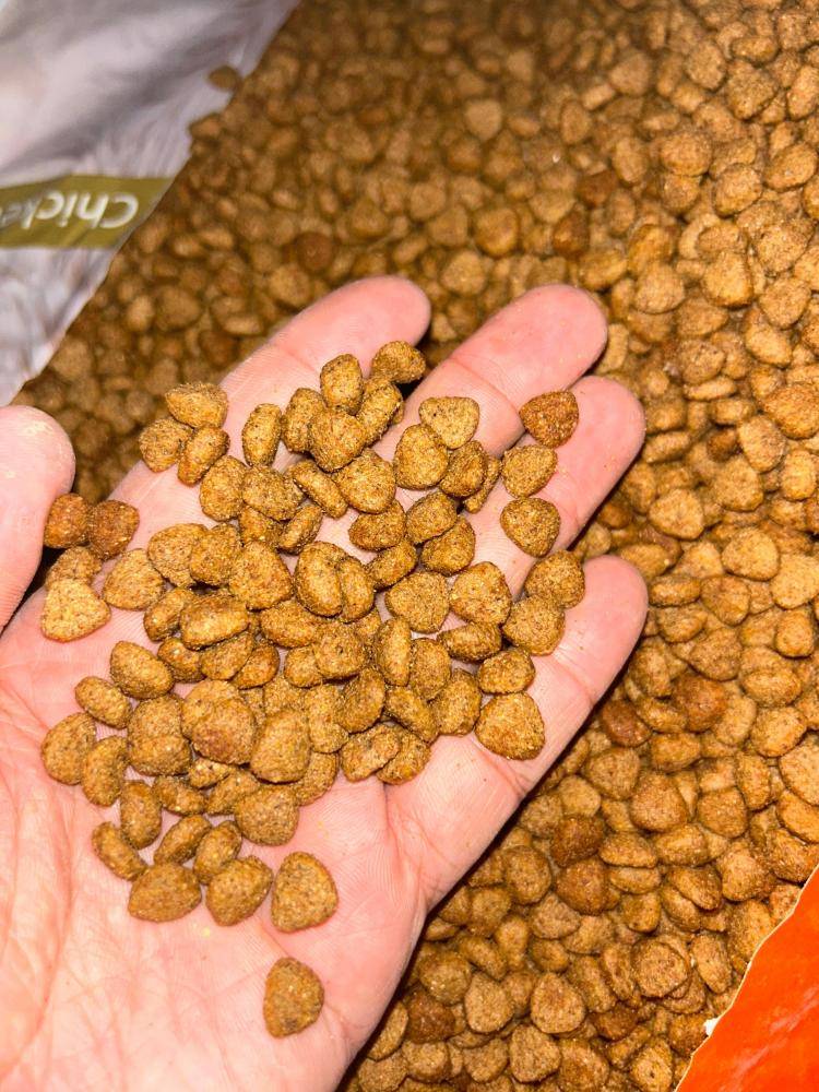 اكل قطط نكهة الدجاج 1كيلو (وزن) Cuddy - Dry food Adult cat