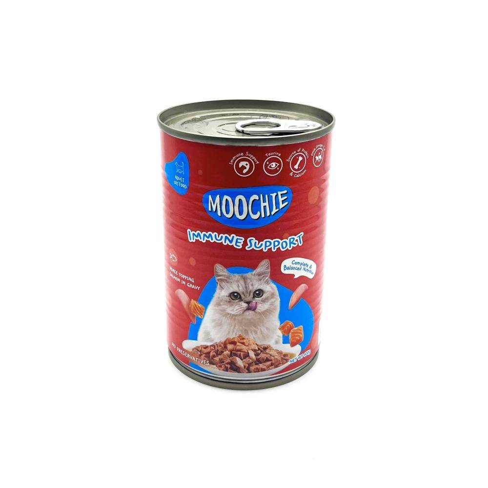 Moochie Salmon In Gravy