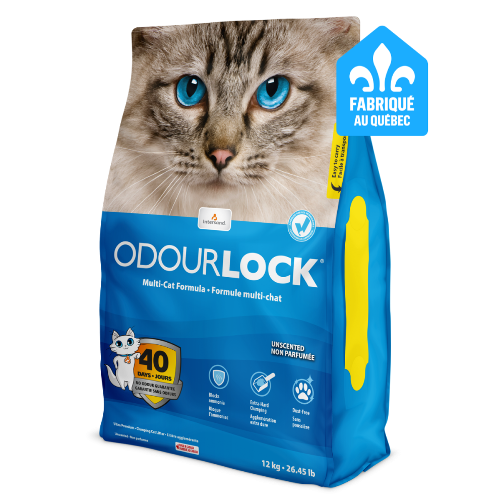 انترساند أودورلوك رمل قطط عالي التكتل غير معطر Intersand OdourLock Clumping cat Litter Unscented 12kg
