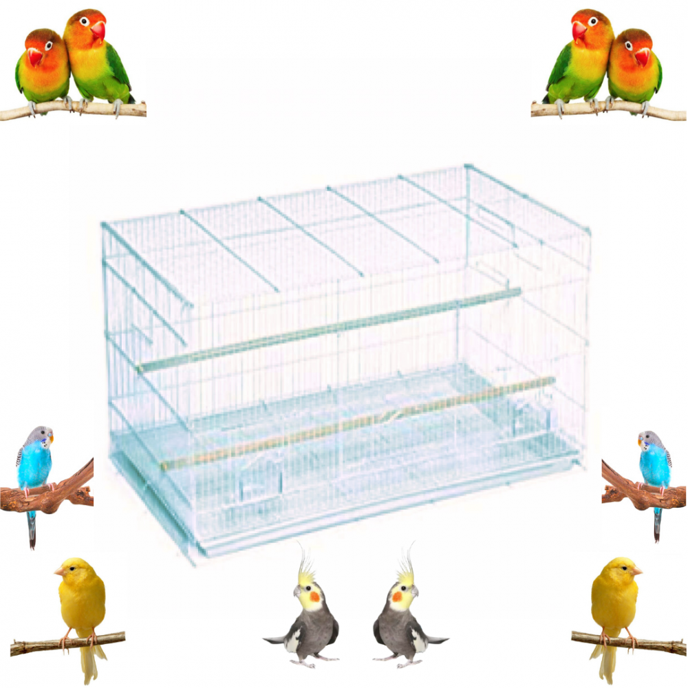 Cage 601 for canaries, bulbuls, roses, curlews and medium birds with feeding accessories and a wooden perch Metal bird cage - white