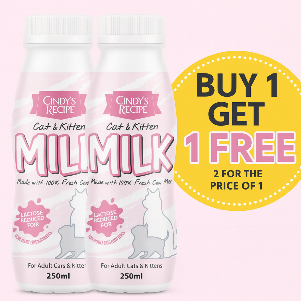 Cindy S Recipe Cat Kitten Milk With Fresh Cow Milk