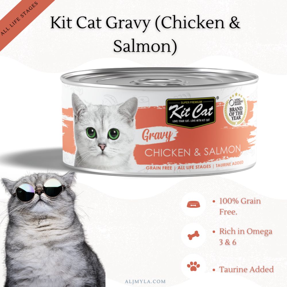 معلبات كت كات جرافي الدجاج مع السالمون بالمرق Kit Cat Gravy (Chicken & Salmon ) Canned food