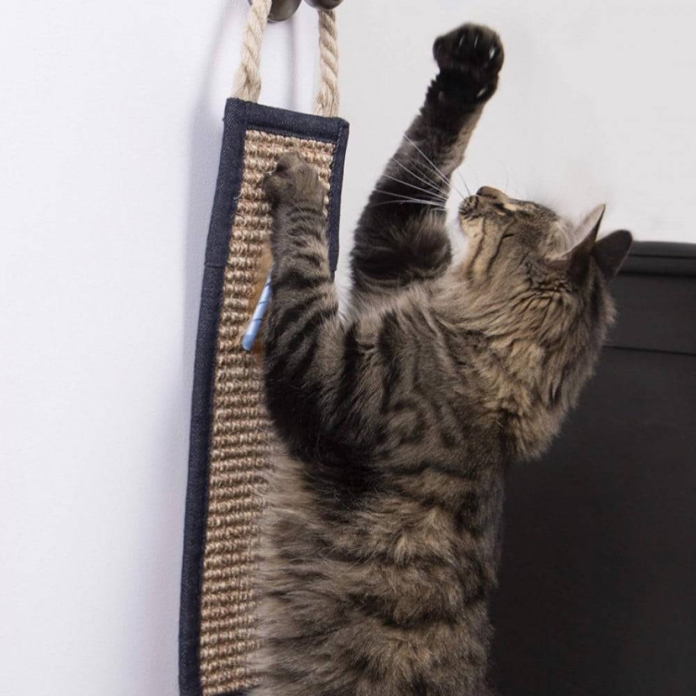 بيتلينكس خداشة قطط تثبيت على الحائط مع الكاتنيب Petlinks Claws Up Hanging Cat Scratcher Denim