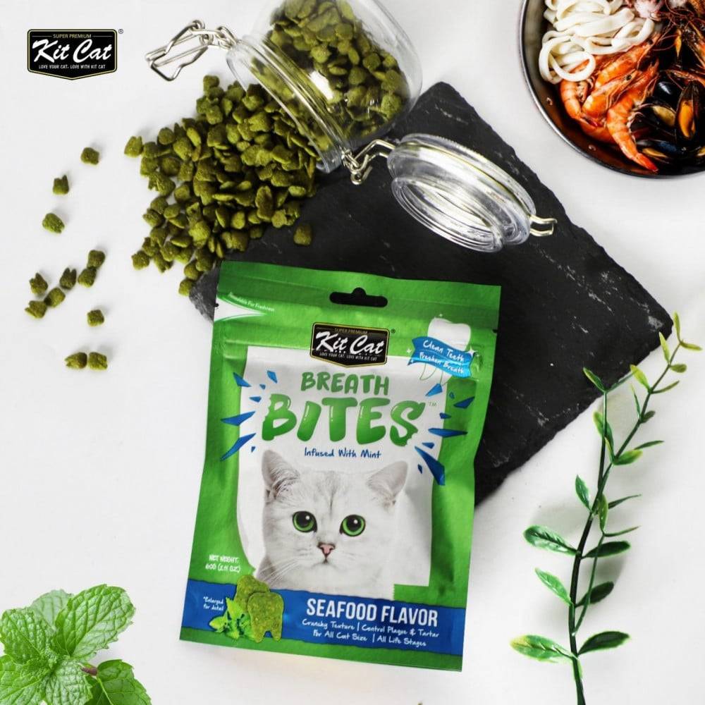 Kit Cat Breath Bites Mint Seafood Flavor 60 G