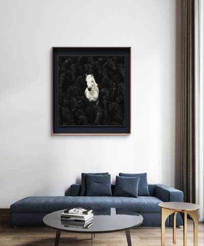 الخيل الاسود مقاس60*60