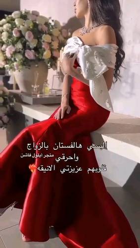 فستان ميكادو انيق تطريز صدر