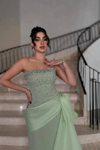 فستان تيفاني باربي مع جزار وتطريز يدوي راقي 