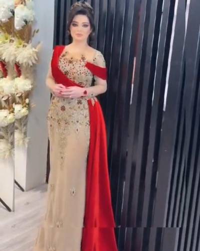 فستان بيج باربي وتل تيواني وتطريز يدوي 