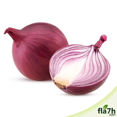 بذور البصل الأحمر 100 بذرة - Allium cepa
