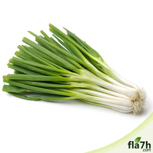 بذور البصل الأخضر 200 بذرة - Allium cepa