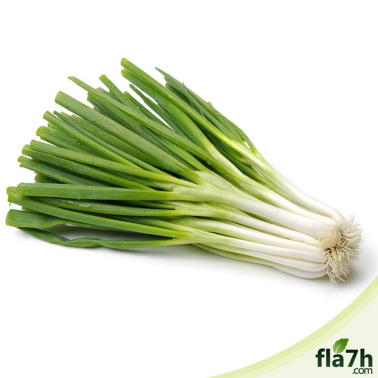 بذور البصل الأخضر 200 بذرة - Allium cepa