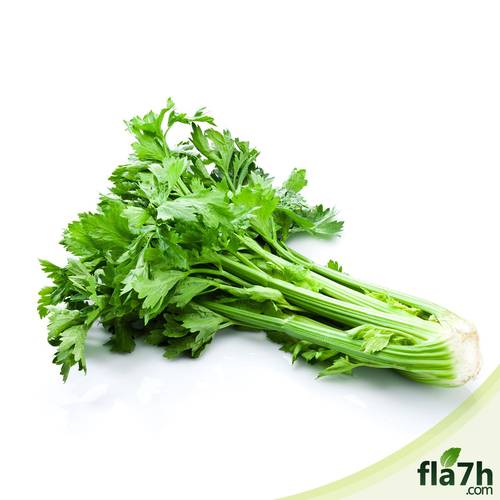 بذور الكرفس 100 بذرة - APIUM GRAVEOLENS
