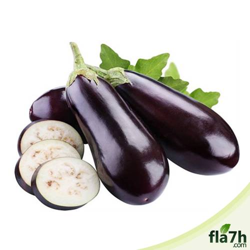 بذور الباذنجان 100 بذرة - Solanum melongena