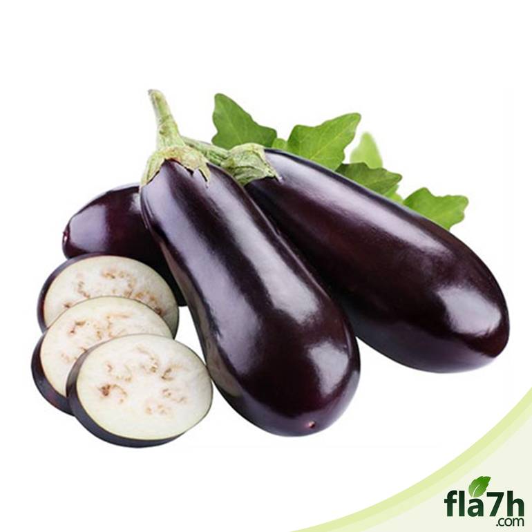 بذور الباذنجان 100 بذرة - Solanum melongena