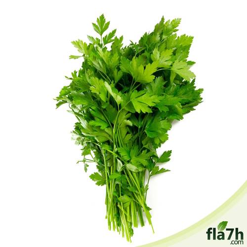 بذور البقدونس 200 بذرة - Petroselinum crispum