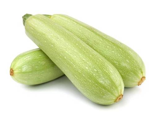 كوسة سالين مكشوف F1 ( 20 بذرة )