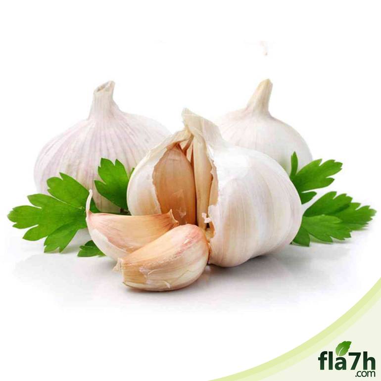 بذور الثوم 50 بذرة - Allium sativum