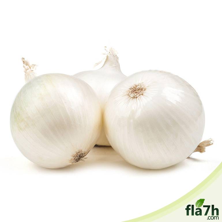 البصل الأبيض 100 بذرة - White onion