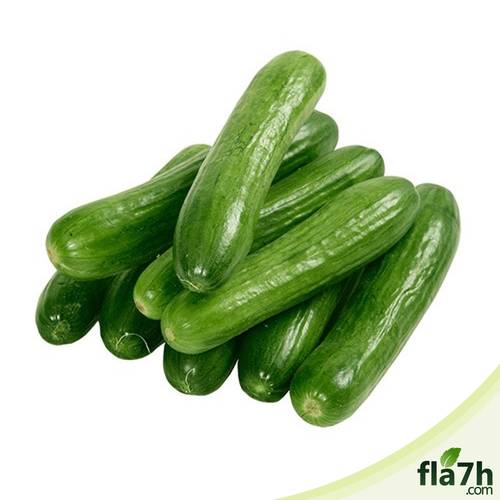 بذور الخيار 50 بذرة - Cucumis sativus